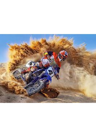 Castorland 260 Parça Fast And Dust Puzzle