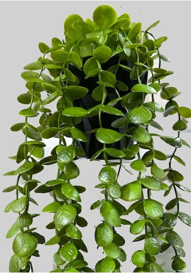 Saksıda Yapay Çiçek Elmas Yoğun Yapraklı Koyu Yeşil Okaliptus Sarkıtı 70 CM