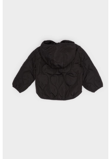 Defacto Erkek Bebek Su Geçirmez Kapüşonlu Çıtçıt Kapamalı Kapitoneli Mont E8234a525aubk27 Siyah