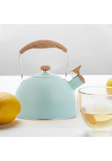 Düdüklü Su Isıtıcısı, 2,5 L Düdüklü Su Isıtıcısı, Gazlı Ocak İndüksiyonlu Ocak Paslanmaz Çelik Su Isıtıcısı 01 Diğer