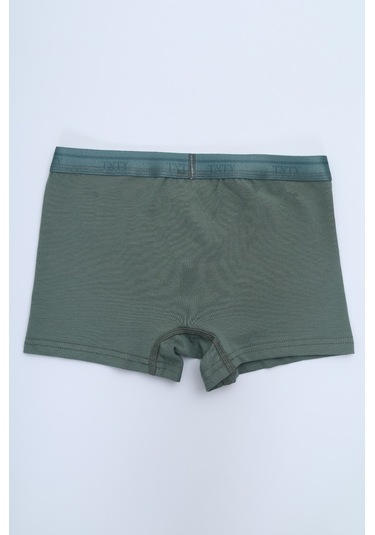 Toontoy Erkek Çocuk Tnty Yazı Baskılı 4lü Paket Boxer Çok Renkli