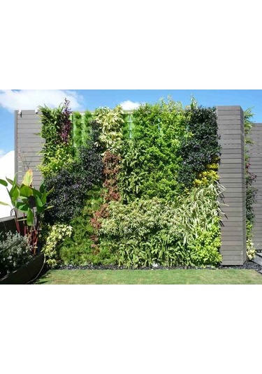 Dikey Bahçe Modülü Yeşil