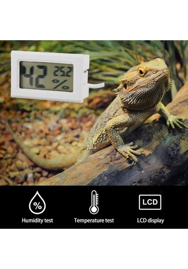 River World Higrometre Ve Termometre Dijital