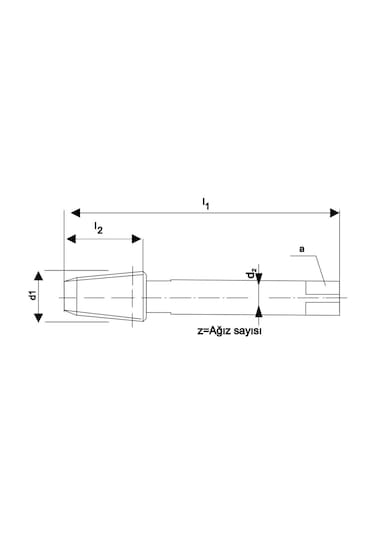 Fett Npt 1/4 -18 Pld Dın2181 Hss Npt Konik Makina Kılavuzu