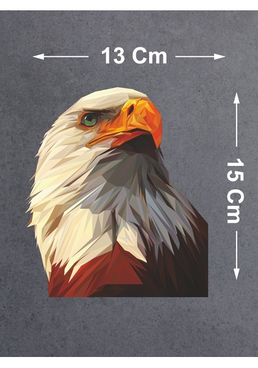 Kartal Beşiktaş Sticker - Araba Oto Motosiklet Karavan Sticker - 00280 15x13 Cm
