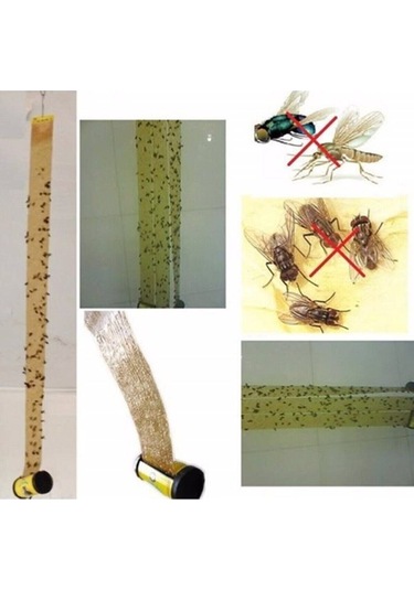 Tibtrap Yapışkan Sinek Kapanı 4 Lü Tdrtr