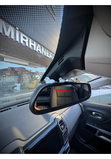 4 Parça Sevimli Fok Balığı Ailesi Dikiz Aynası Süsü - Ayna Süsü Araba Süsü Torpido Süsü Oto Aksesuar