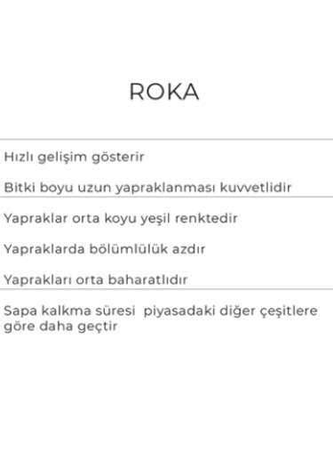 Roka Tohumu 25gr