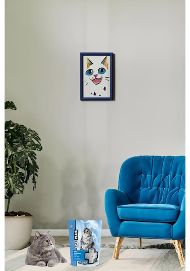 CatPlus Kristal Kedi Kumu 9 x 3600 ML