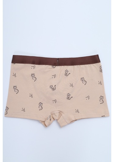 Toontoy Erkek Çocuk Çok Desen Baskılı 4lü Paket Boxer Çok Renkli