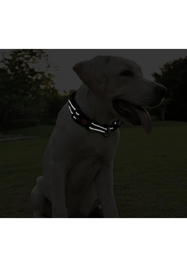 Raikou Ayarlanabilir Köpek Boyun Tasması Siyah