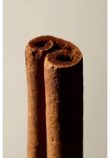 Aesop Murasaki Aromatique Incense 33 Çubuk Hinoki Tütsü