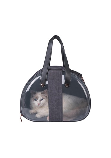 Homyl Kedi Taşıyıcı Köpekler Yavru Yavruları Gine Domuzu