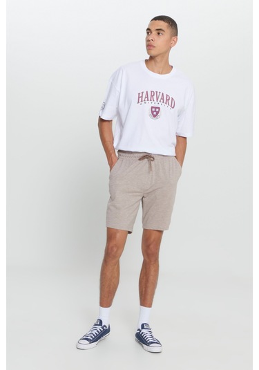 Ac&Co / Altınyıldız Classics Erkek Kahve Melanj Standart Fit Normal Kesim Pamuklu Rahat Örme Şort