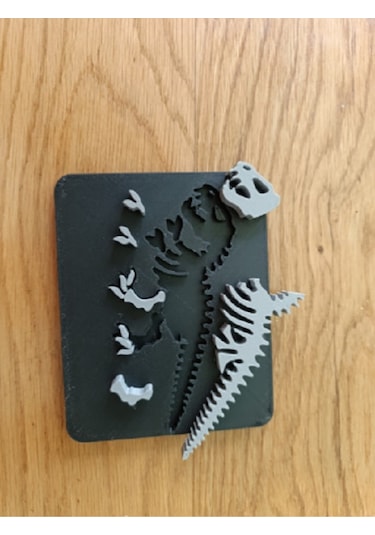 Dinozor İskeleti Bulmacası