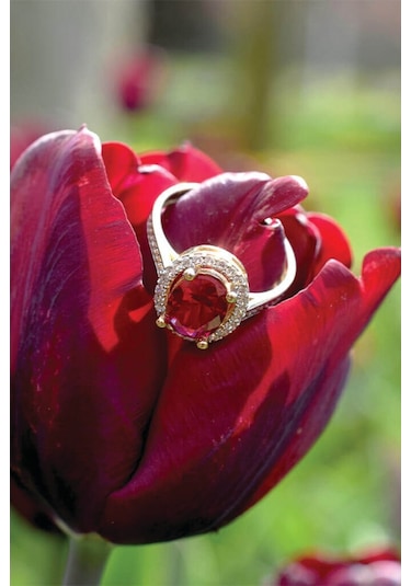 Oval Kırmızı Taşlı Altın Yüzük (489565023)