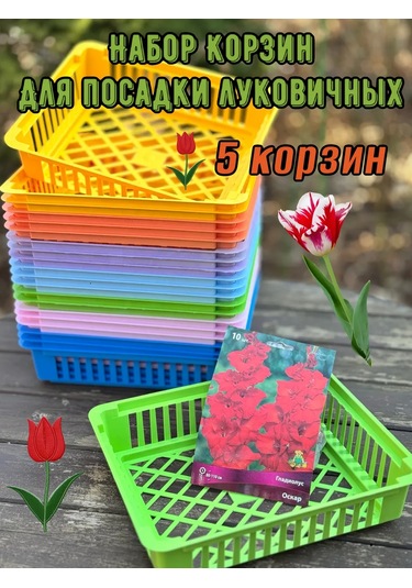 Domdacaogorod Soğanlı Bitkiler Ve Kelebek Yetiştirme Sepeti 383849206