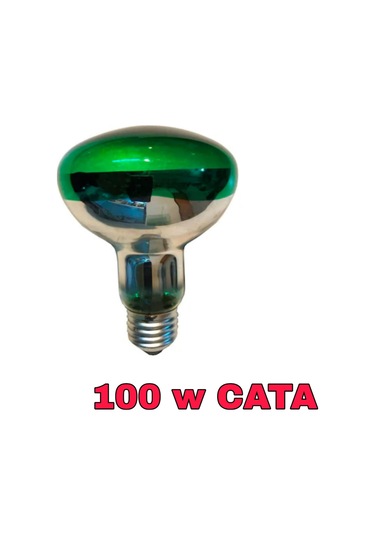 100 Watt Yeşi̇l Isıtıcı Lamba