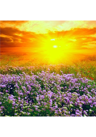 Bahar Çiçekleri Doğal Taş Bardak Altlığı 4'lü Set - Natural Stone Coasters - Taş Çok Renkli