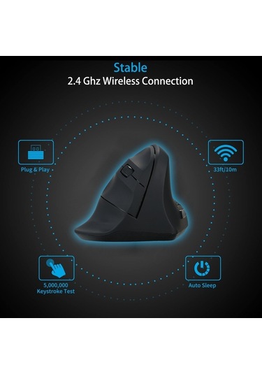 Dancemonkey Dikey 2.4g Siyah Fare, 6 Tuşlu, 800-1600 Dpı, Bilek Destekli Optik, Pil Hariç Optik