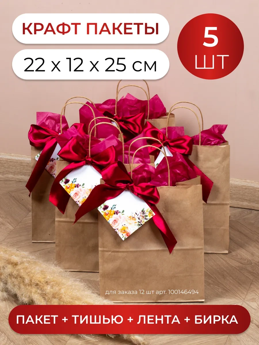 Sinitsa Ecoshop Hediye Poşetleri Kağıt 5'li Set 63198300