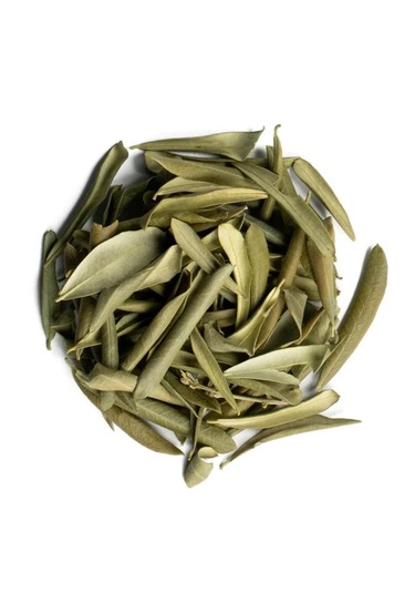 Zeytin Yaprağı 100gr. Elenmiş & Taze Mahsül