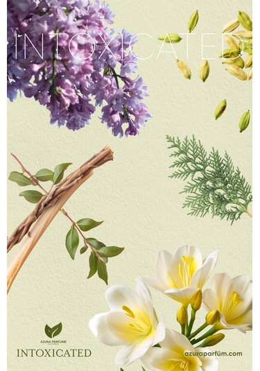Azura Prestige Niche Intoxicated Unisex Parfüm EDP 100 ML
