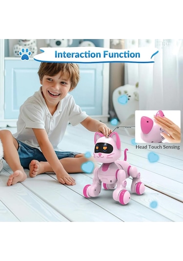 Uzaktan Kumandalı Ses Kontrollü Programlanabilir Akıllı Robot Kedi