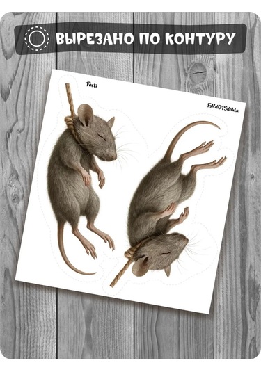 Fosti Buzdolabı İçin İşaret: Fare Asıldı 447775474 Beyaz