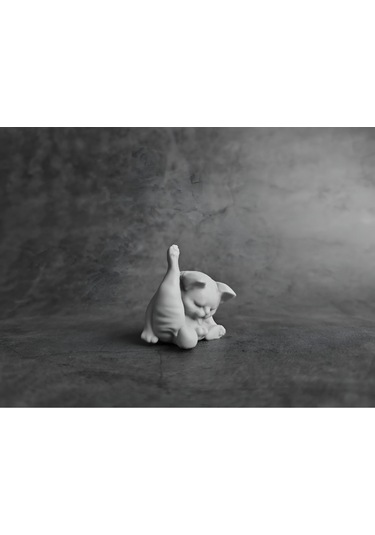 Minyatür Kedi - Kendisini Yalayan Kedi