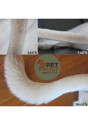 Pet Trust Herbal Pet Care Organik Kedi ve Köpekler İçin Tüy Dökülmesi Engelleyici 50 ML