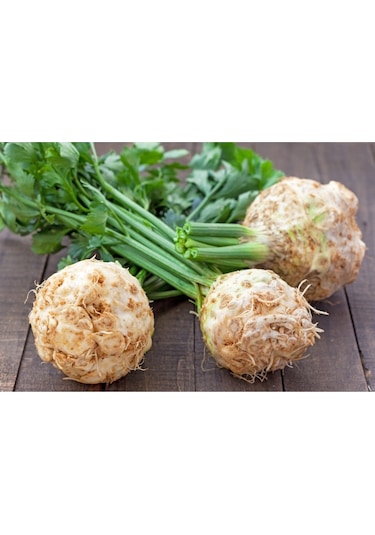 Kök Kereviz Tohumu Giant Prague Celeriac
