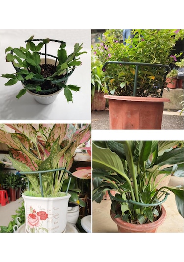 Dofolink Bitkileri Dikey Tutmak İçin Yeşil Plastik Bitki Desteği, Saçakları Koruma, Birleştirilebilir Tasarım, 6 Adet Set