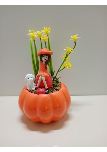 Evlilik Yıl Dönümü Hediyesi Kız Arkadaşa Doğum Günü Hediyesi Kabak Teraryum