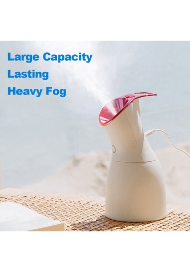 Reedark 30 Adet Kutu Paketi - Kırmızı Usb Cilt Nemlendirici: Nano İyon Sprey, 500ml Kapasite, Ev Ve Cilt Bakımı İçin Kolay Kullanım