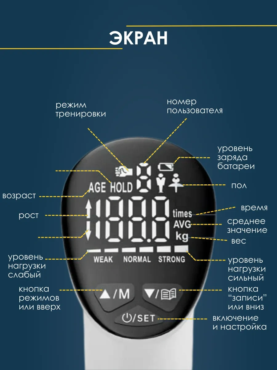 Sokol Store El Gücü Ölçüm Cihazı, Dinamometre, Antrenman Aleti, El Expander 277232644