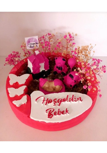 Hoşgeldin Kız Bebek 2 Teraryum Teraryum