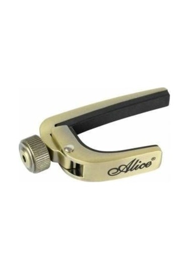 A-007j-br Vidalı Gitar Kaposu Bronz