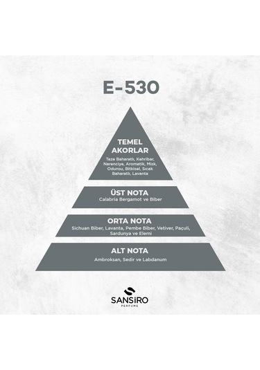 Sansiro E-530 Woody Erkek Parfüm EDP 50 ML
