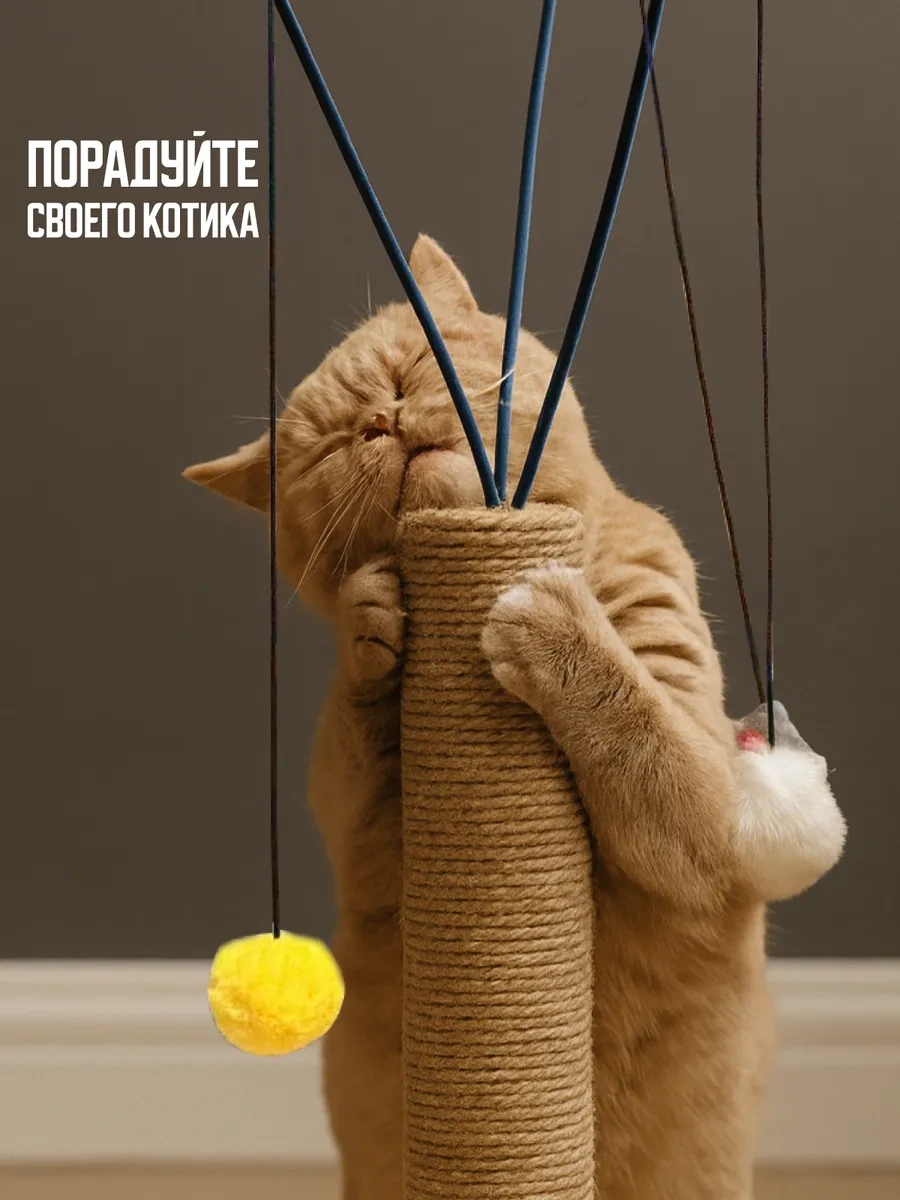 Kosharıkoff Yuvarlanan Oyuncaklı Yer Tipi Kedi Tırnak Törpüsü 161701024