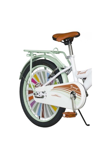 Trail Tr250 20 Jant Bisiklet Bagajlı Çocuk Bisikleti Çok Renkli