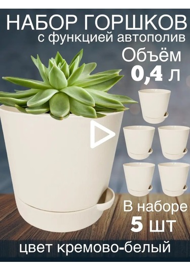 Interm Menekşeler, Sukulentler Ve Kaktüsler İçin Küçük Çiçek Saksısı 52390371