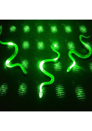 Yılan Kırkayak Şaka Oyuncağı 36 Adet Tdrtr Çok Renkli