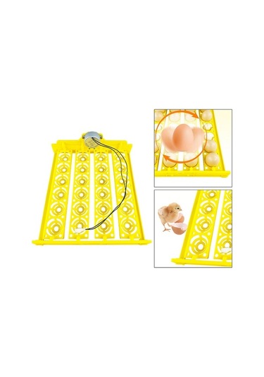 Pazly Yumurta Tepsisi Tavuk Suntek İnkübatörü Döndürme Aleti, Hv