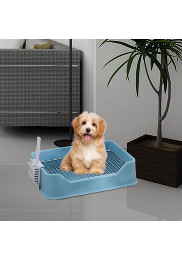 Homyl Chinchillas Yavru Pet Malzemeleri Için Kaşık Mavi