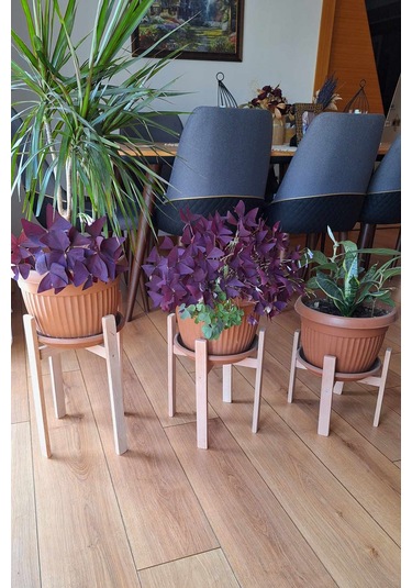 Saksılık 3 Adet,büyük Boy Saksılar İçin Kayın Ağacından