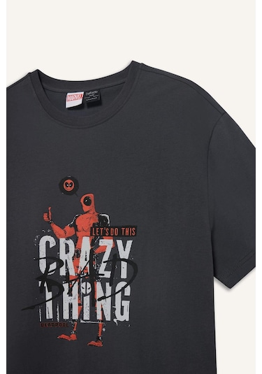 DeFacto %100 Pamuk Deadpool Regular Fit Bisiklet Yaka Kısa Kollu Tişört E3263AX25SMAR104