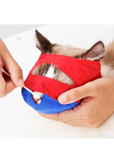 Homyl Çizilmeleri Ve Isırma Önleyici Pet Kedi