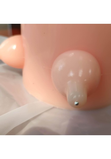 Suntek Kitten Doggie Puppy Süt Besleyici Besleme İç-h-7.5cm