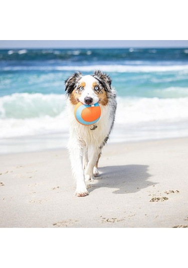 Chuckit Amphibious Yüzebilen Köpek Oyun Topu 12 Cm 260-50021.01